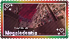Splatoon Megalodontia